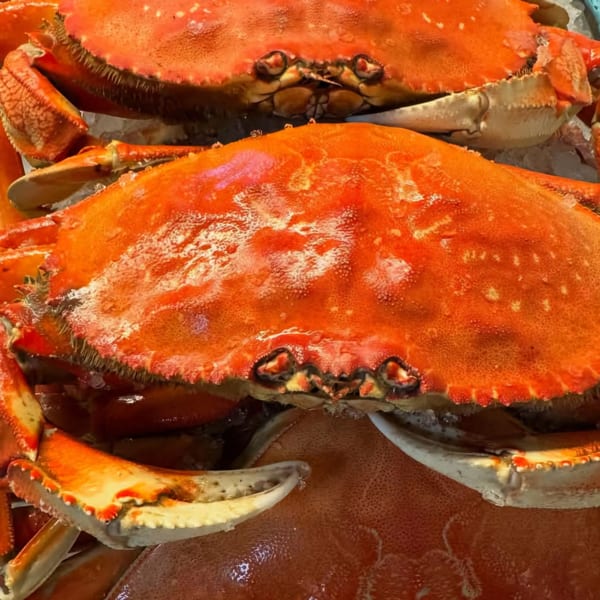Two large, vibrant orange Dungeness crabs are piled on ice, ready to be served at Big T's Seafood Bar.